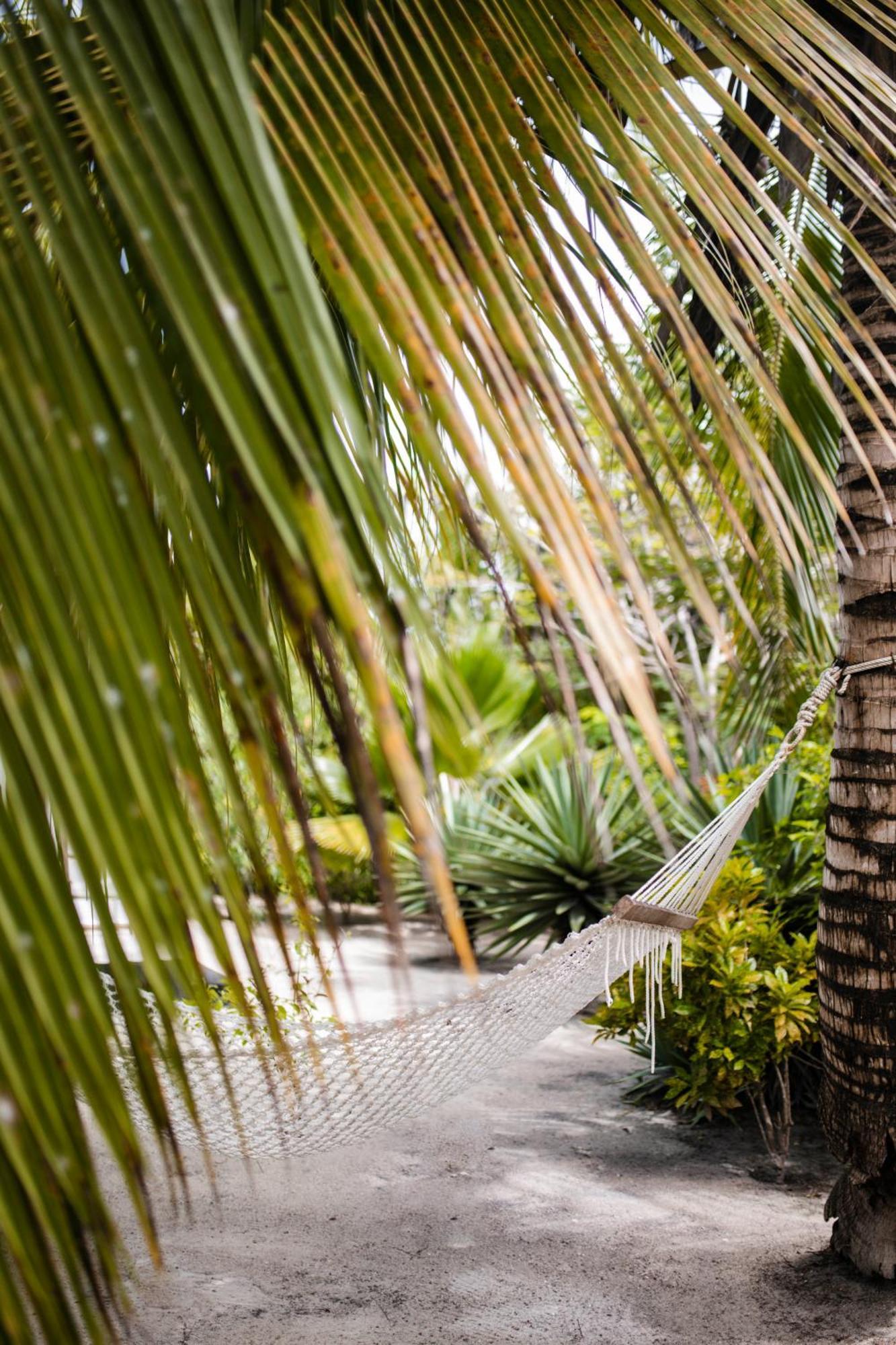 White Paradise Zanzibar Pongwe Luaran gambar
