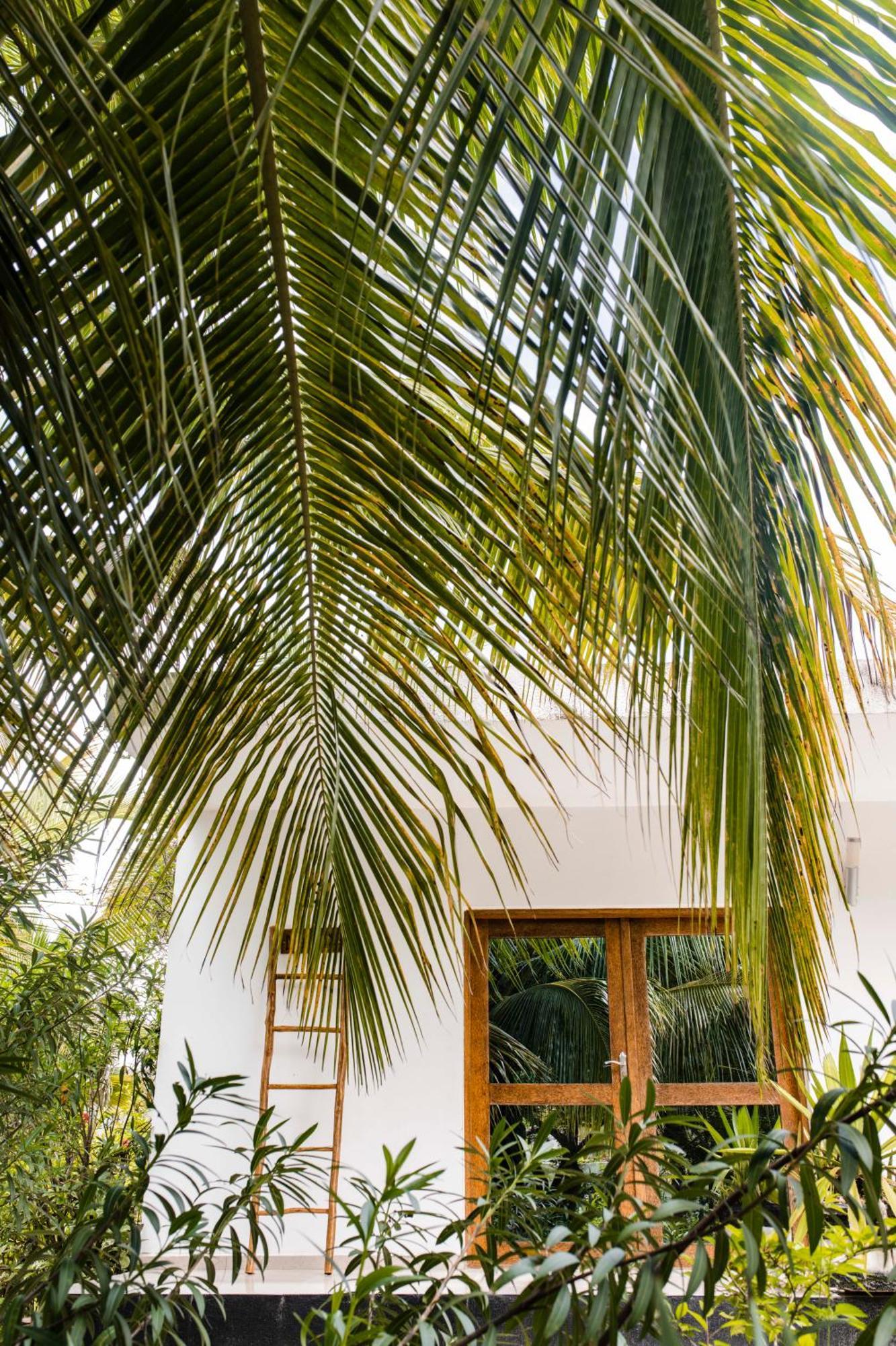 White Paradise Zanzibar Pongwe Luaran gambar