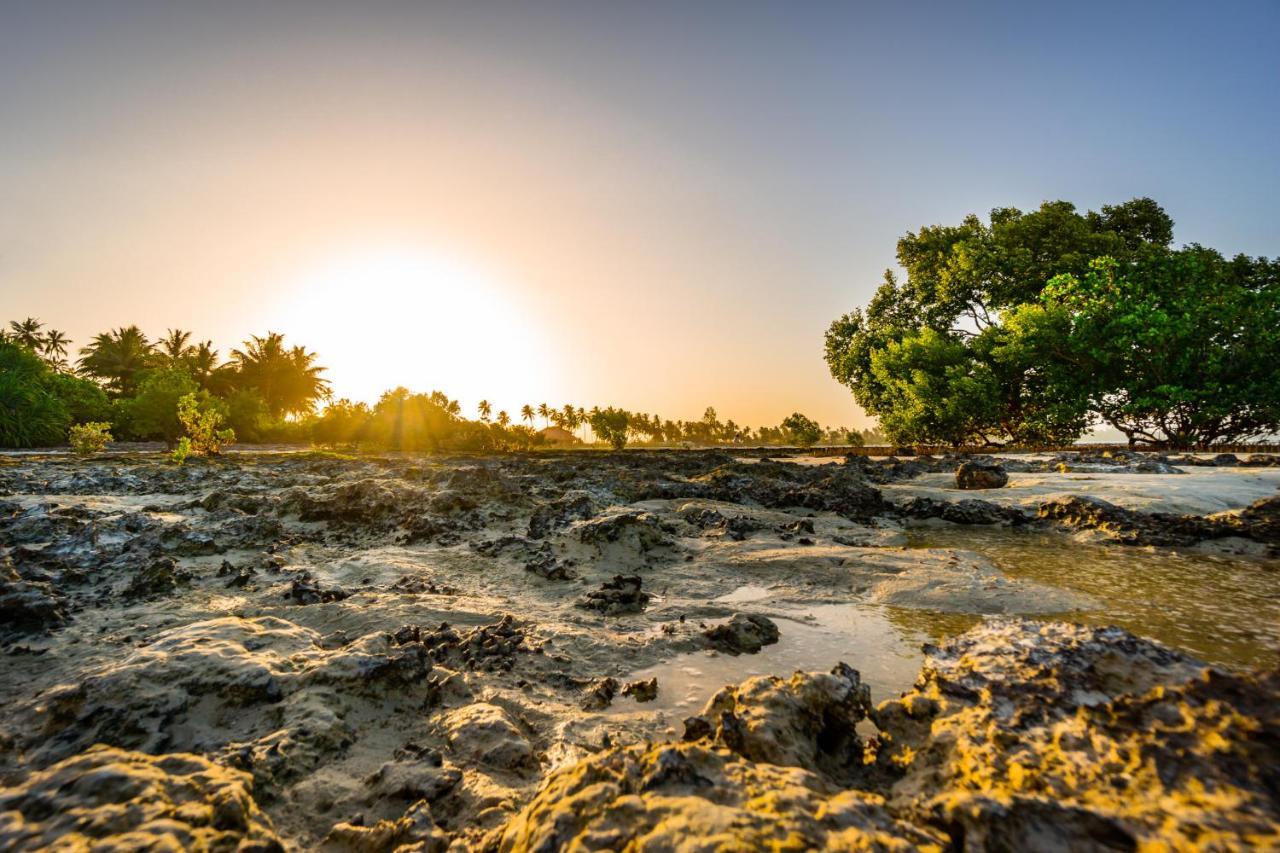 White Paradise Zanzibar Pongwe Luaran gambar